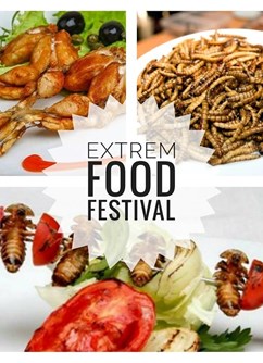 Extrem food festival Olomouc 2018- Olomouc -Letní kino , Pekární 26, Olomouc