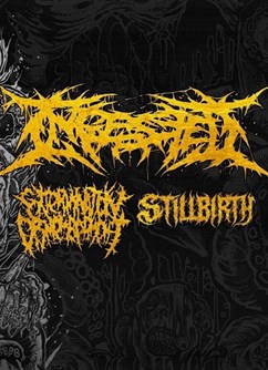 Ingested, Extermination Dismemberment, Stillbirth- Brno -Melodka, Kounicova 20/22, Brno