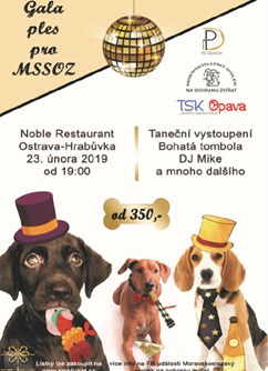 Gala ples pro Moravskoslezský spolek na ochranu zvířat- Ostrava -Noble restaurant, Dr. Martínka 1295, Ostrava