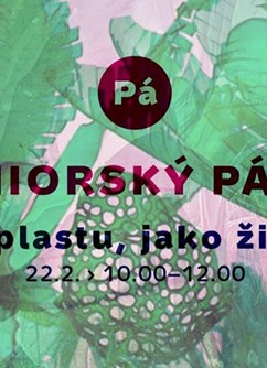 Z plastu jako živé ~ seniorský pátek- Pardubice -GAMPA, Příhrádek 5, Pardubice