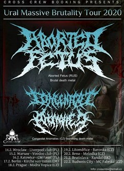 Aborted Fetus (RUS), Congenital Anomalies- Brno -Melodka, Kounicova 20/22, Brno