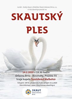 Skautský ples- Brno -Orlovna Bosonohy, Pražská 55, Brno