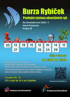 Burza rybiček - prodejní výstava akvarijních ryb- Praha -Stodola - Burza rybiček, Na chvalské tvrzi 7, Praha