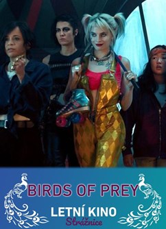 Birds of prey- Strážnice -Letní kino Strážnice, Zámek, Strážnice