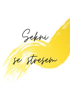 #suHR webinář: Sekni se stresem- Online -Zoom, konference, Online