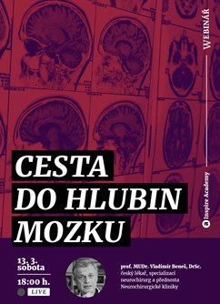 Webinář: Vladimír Beneš: Cesta do hlubin mozku- Online -Live stream, přenos, Online