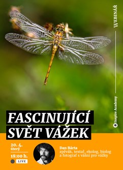 Webinář: Fascinující svět vážek- Online -Live stream, online přenos, Online