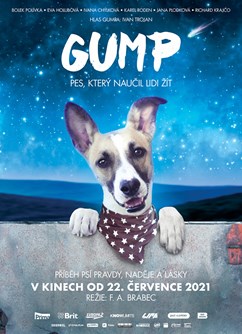 Gump - pes, který naučil lidi žít- Strážnice -Letní kino Strážnice, Zámek, Strážnice