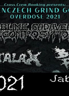 Gutalax / SCD / BowelFuck / Murder Rape Amputate - koncert Jablunkov -Southock Rock Café, Bělá 1069, Jablunkov