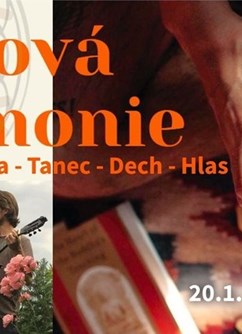 Kakaová ceremonie - Ecstatic Dance/Hlas/Dech/Muzikoterapie- Praha -Ze Mě, Na Louži 7, Praha
