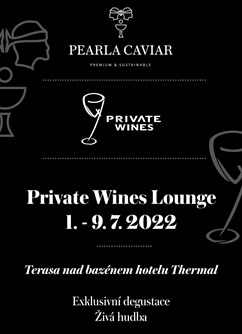 Private Wines Tasting afternoon- Karlovy Vary -Restaurace Varyo, I. P. Pavlova 2001/11, Karlovy Vary