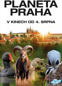 Planeta Praha  - Svitavy -Kino Vesmír, Purkyňova 17, Svitavy