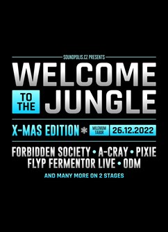 Welcome to the Jungle X-MAS- Tábor -Milenium Tábor, Kpt. Nálepky 2397, Tábor