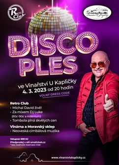 DISCO PLES ve Vinařství U Kapličky- Zaječí- Michal David živě! -Retro Music Club, Vinařská, 484, Zaječí