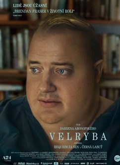 Velryba- Měnín -Kino Měnín, Měnín 408, Měnín