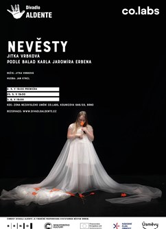 Nevěsty- Brno -Co.Labs, Kounicova 22, Brno