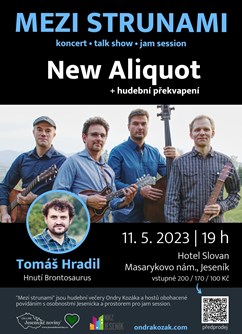 Mezi strunami – New Aliquot, Tomáš Hradil- Jeseník -Hotel Slovan, Masarykovo nám. 23/4, Jeseník