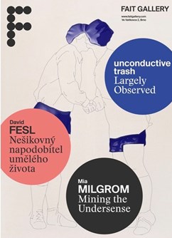 unconductive trash / David Fesl / Mia Milgrom- Brno -Fait Gallery, Ve Vaňkovce 2, Brno