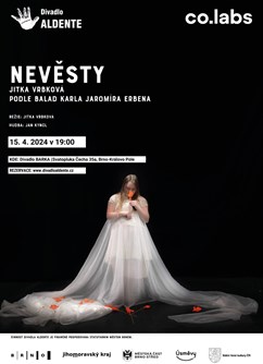 Nevěsty- Brno -Divadlo Barka, Svatopluka Čecha 35a, Brno
