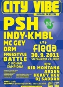 CITY VIBE - PSH, INDY, MC Gey, DRM aj.