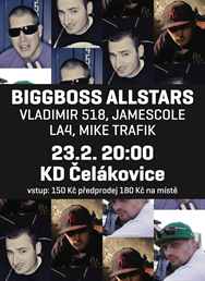 BIGGBOSS ALLSTARS