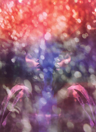 Maybeshewill (UK) live @ Futurum Music Bar