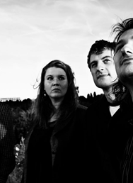 Dny kultur - Irsko - Den Sv. Patricka