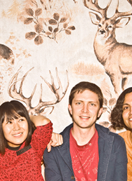 Deerhoof (USA)