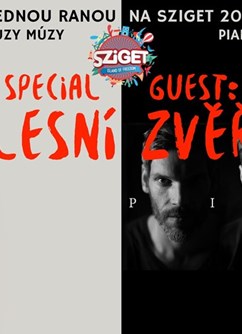 Jednou ranou na Sziget