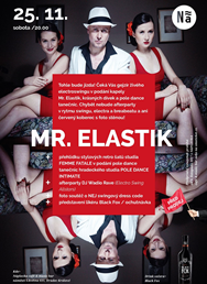 Mr. Elastik Orchestra / Femme Fatale & Intimate Studio