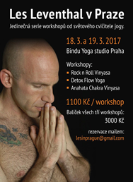 Les Leventhal workshops