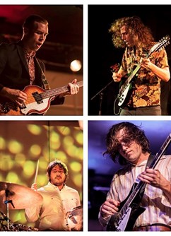 Triptides (USA) + support