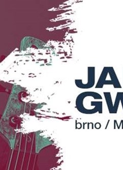 Janek Gwizdala Last Minute World Tour 2017 Brno