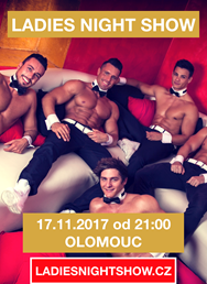 Ladies Night Show Magic Mike