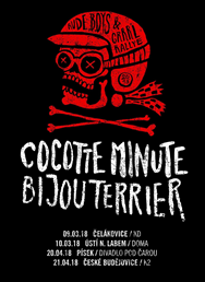 Cocotte Minute a Bijouterrier