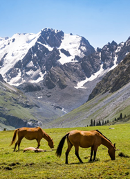 Kyrgyzstán: Trochu jiný mainstream (J. Venglář, Olomouc)