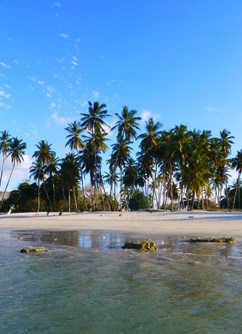 Afrika jinak