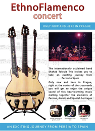  EthnoFlameno: Shahab Tolouie Trio