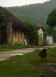 Ekvádor, Panama, Kostarika