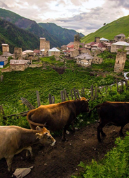 Kavkaz – Svanetie