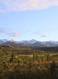 Leto na Aljaške: Medvede, strach a krásna príroda