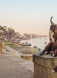 Indie: Těžko uvěřitelná země (J. Venglář, Kolín)