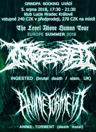 Ingested (brutal death / slam, UK) + support