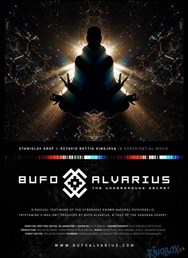 Bufo Alvarius: The Underground Secret