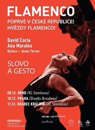 Flamenco - Palabra Y Gesto - David Coria - Ana Morales