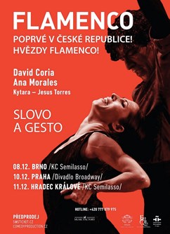 Flamenco - Palabra Y Gesto - David Coria - Ana Morales