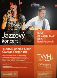 Judith Nijland a Libor Šmoldas organ trio