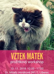 Vztek matek