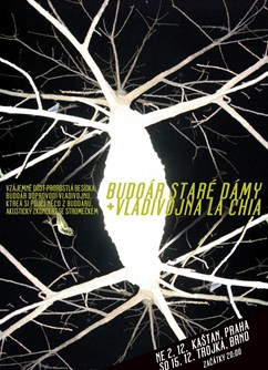 Budoár staré dámy & Vladivojna La Chia