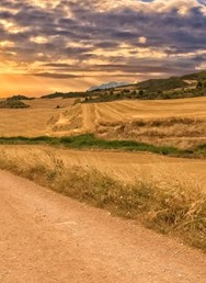 Camino de Santiago – Po stopách andělů (Lukáš Zajíček)